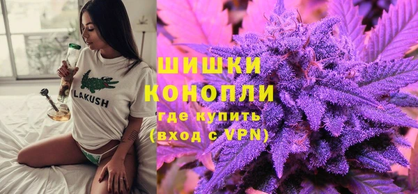 шишки Аркадак