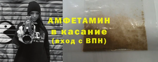 шишки Аркадак