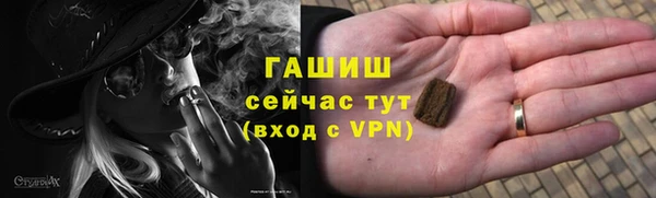 шишки Аркадак
