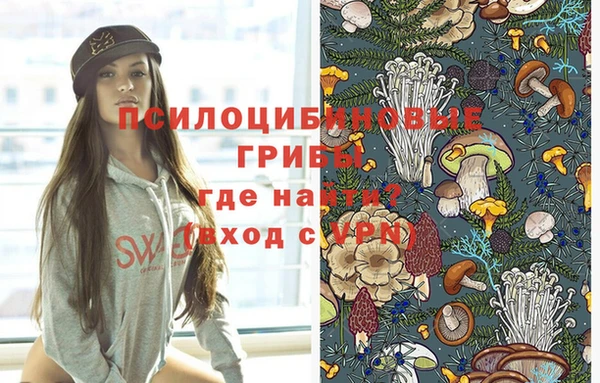 шишки Аркадак