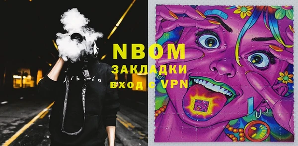 шишки Аркадак