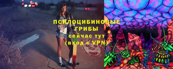 шишки Аркадак
