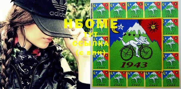 шишки Аркадак