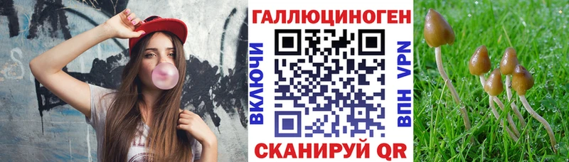 Галлюциногенные грибы Psilocybine cubensis  Ахтубинск 